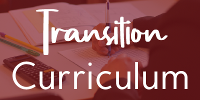 AGS Graphics Transition Button